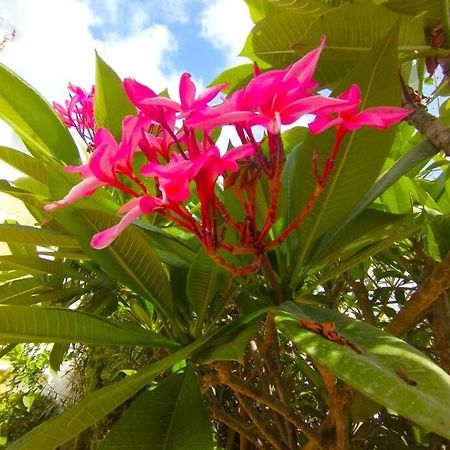 Beautiful 3 Bedroom Townhouse In Urb. Tropicana, Nerja Esterno foto