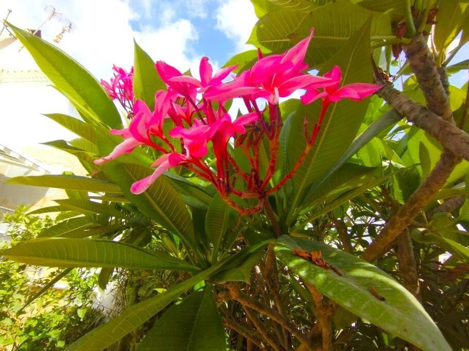 Beautiful 3 Bedroom Townhouse In Urb. Tropicana, Nerja Esterno foto